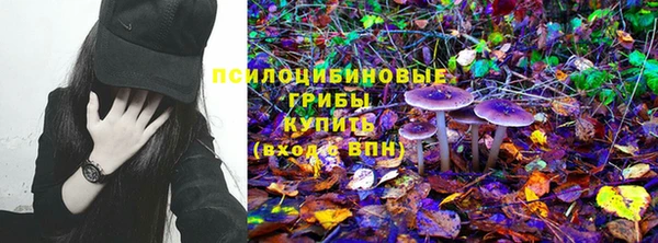 соль курить ск Бородино